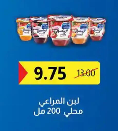available at فتح الله in Egypt - القاهرة