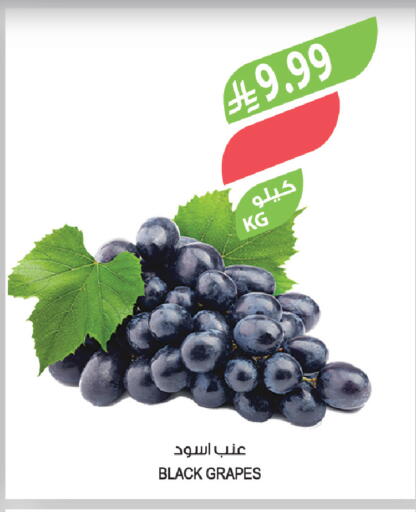 Grapes available at المزرعة in مملكة العربية السعودية, السعودية, سعودية - الخرج