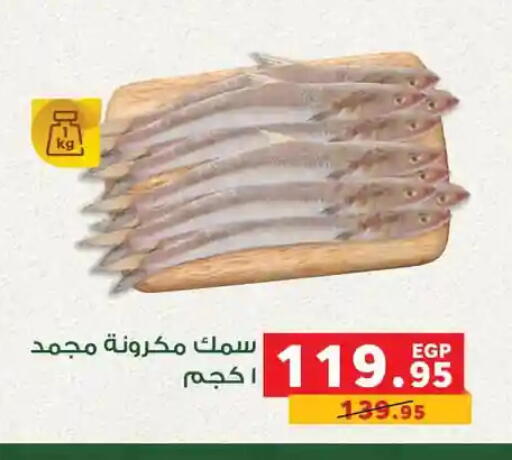 available at Panda  in Egypt - Cairo