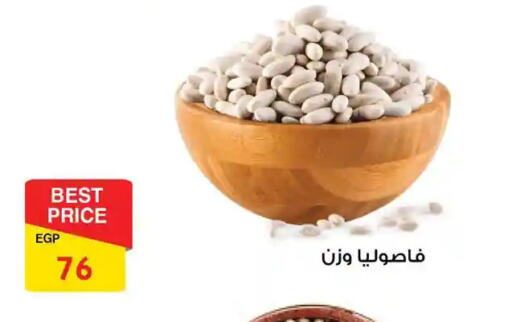 available at فتح الله in Egypt - القاهرة