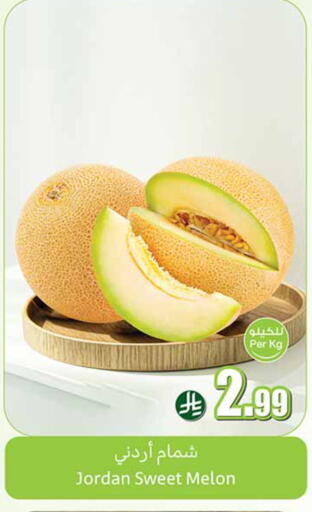 Melon from Jordan available at أسواق عبد الله العثيم in مملكة العربية السعودية, السعودية, سعودية - الخرج