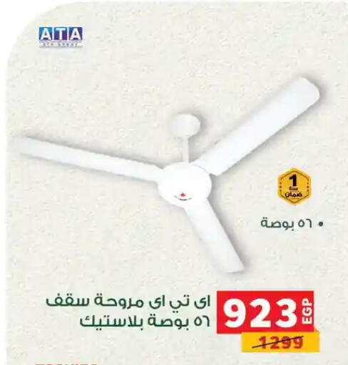available at Panda  in Egypt - Cairo