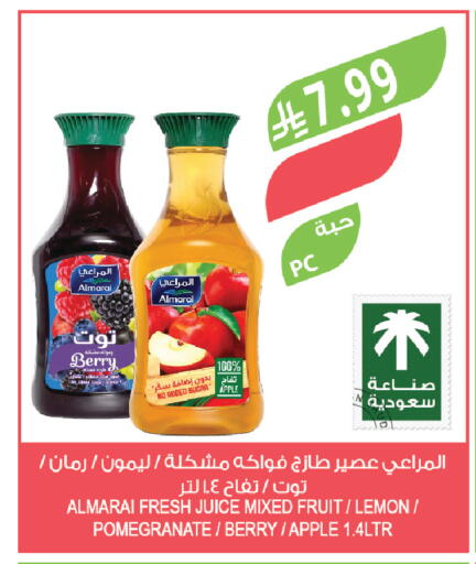 Apple Lemon Pomegranate available at المزرعة in مملكة العربية السعودية, السعودية, سعودية - تبوك