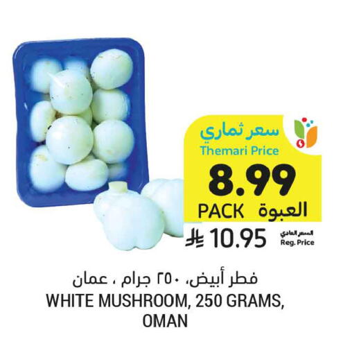 Mushroom from Oman available at Tamimi Market in KSA, Saudi Arabia, Saudi - Tabuk