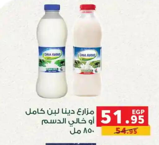 available at بنده in Egypt - القاهرة