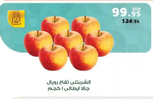 available at Panda  in Egypt - Cairo
