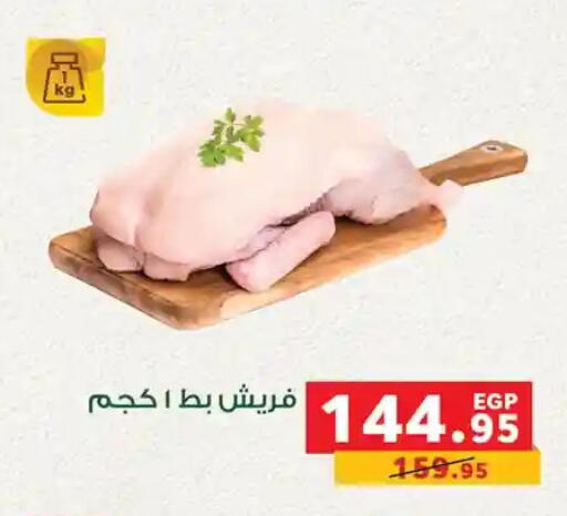 available at Panda  in Egypt - Cairo