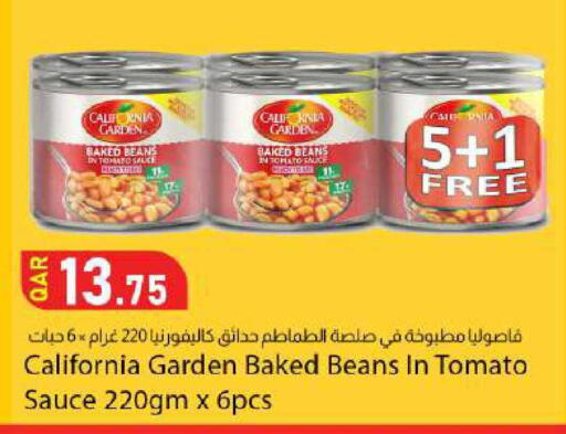 Tomato available at Dana Market in Qatar - Al-Shahaniya