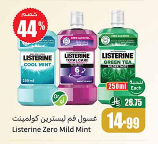 Mint available at أسواق عبد الله العثيم in مملكة العربية السعودية, السعودية, سعودية - الخرج