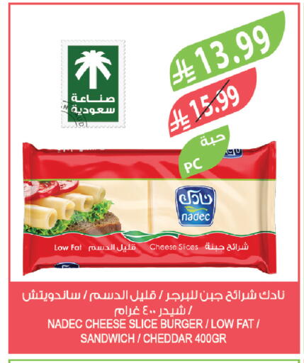 available at المزرعة in مملكة العربية السعودية, السعودية, سعودية - تبوك