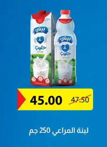 available at فتح الله in Egypt - القاهرة