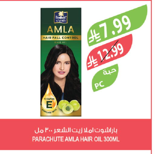 available at المزرعة in مملكة العربية السعودية, السعودية, سعودية - تبوك