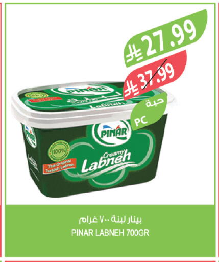 available at المزرعة in مملكة العربية السعودية, السعودية, سعودية - تبوك