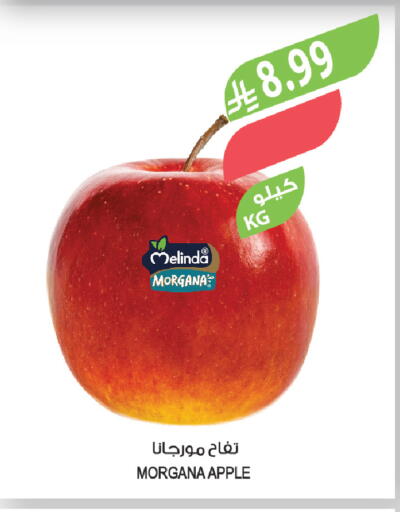 Apple available at المزرعة in مملكة العربية السعودية, السعودية, سعودية - الخرج