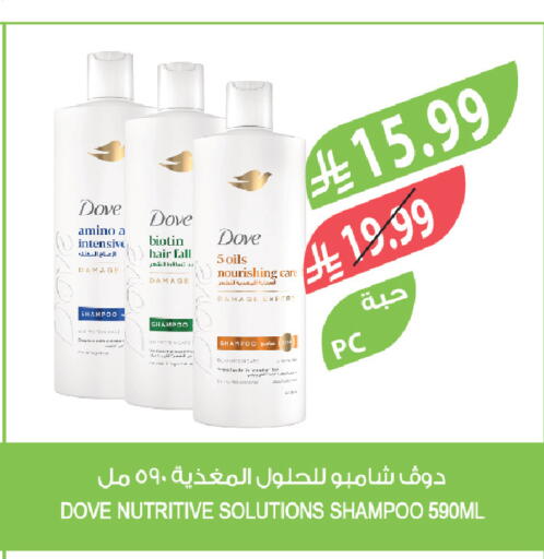 available at المزرعة in مملكة العربية السعودية, السعودية, سعودية - تبوك