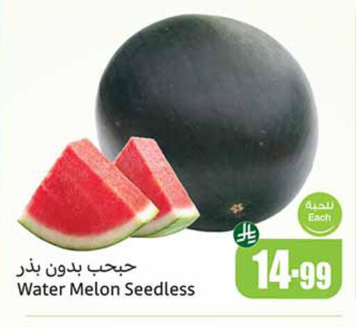 Melon available at Othaim Markets in KSA, Saudi Arabia, Saudi - Sakaka