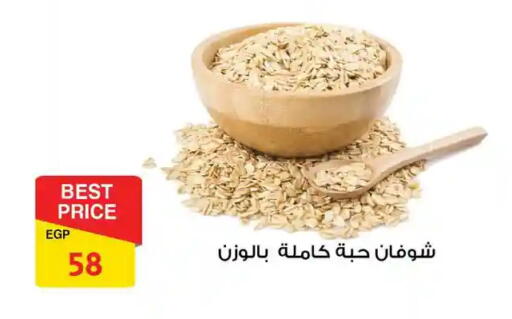 available at فتح الله in Egypt - القاهرة