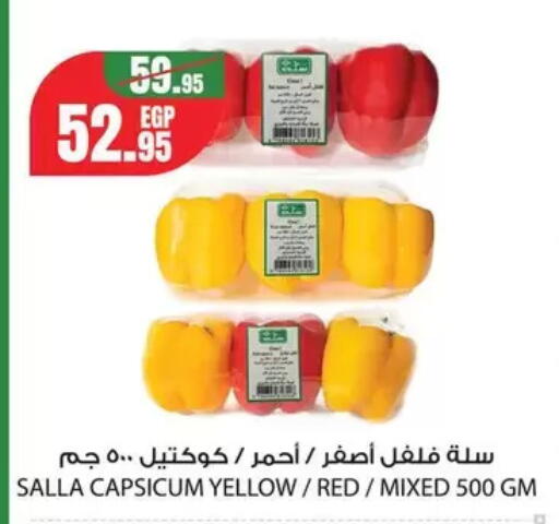 Capsicum from Egypt available at Géant Egypt in Egypt - Cairo