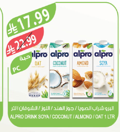 Coconut available at المزرعة in مملكة العربية السعودية, السعودية, سعودية - تبوك