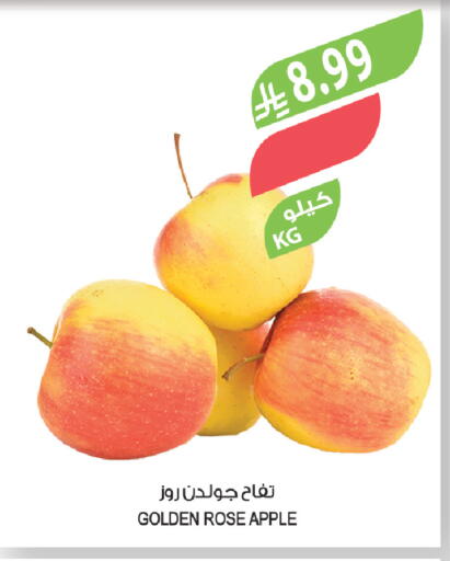 Apple available at المزرعة in مملكة العربية السعودية, السعودية, سعودية - تبوك