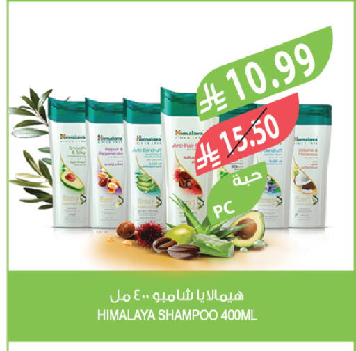 available at المزرعة in مملكة العربية السعودية, السعودية, سعودية - تبوك