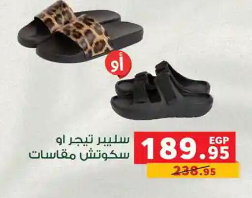 available at Panda  in Egypt - Cairo