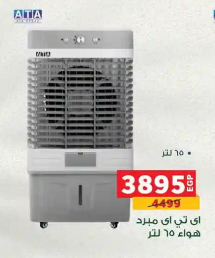 available at Panda  in Egypt - Cairo