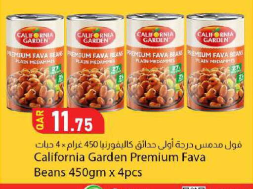 available at Dana Market in Qatar - Al-Shahaniya