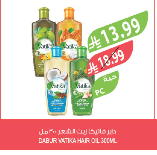 Coconut available at المزرعة in مملكة العربية السعودية, السعودية, سعودية - الخرج