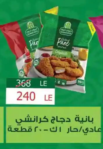 available at فتح الله in Egypt - القاهرة