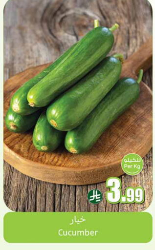 Cucumber available at أسواق عبد الله العثيم in مملكة العربية السعودية, السعودية, سعودية - الخرج