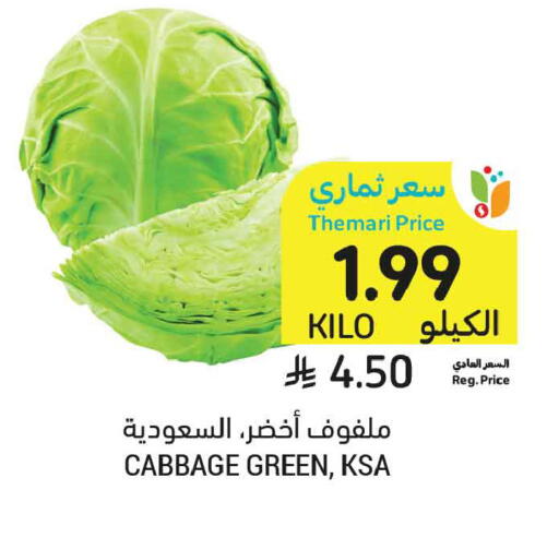 Cabbage available at Tamimi Market in KSA, Saudi Arabia, Saudi - Tabuk