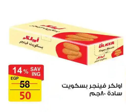 available at فتح الله in Egypt - القاهرة
