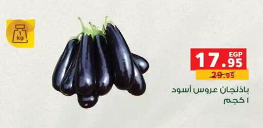 available at Panda  in Egypt - Cairo