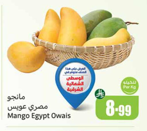 Mango from Egypt available at أسواق عبد الله العثيم in مملكة العربية السعودية, السعودية, سعودية - الخرج