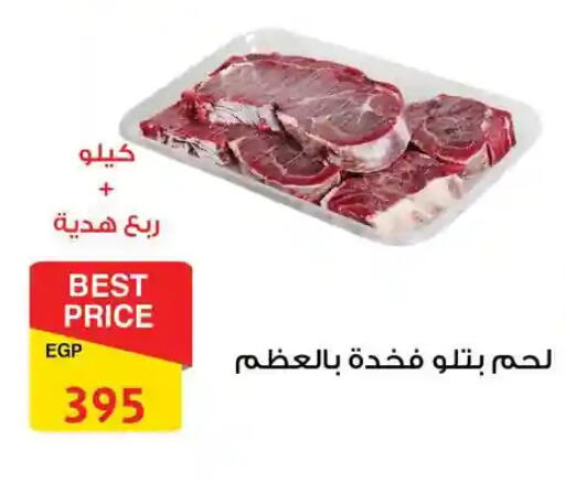 available at فتح الله in Egypt - القاهرة
