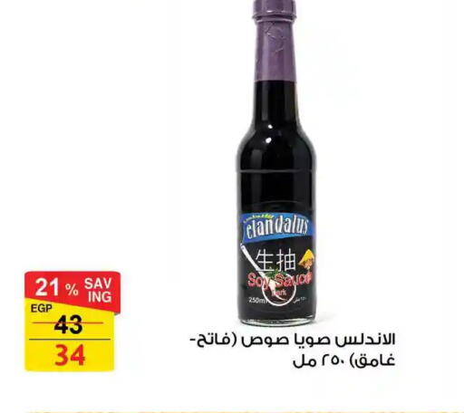 available at فتح الله in Egypt - القاهرة