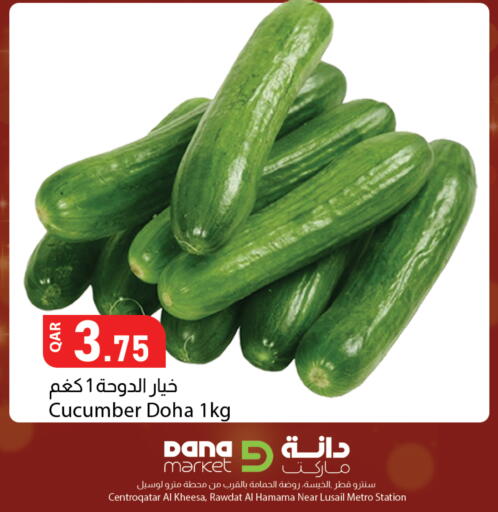 Cucumber from Qatar available at دانا ماركت in قطر - الخور