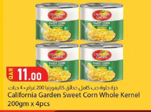 available at Dana Market in Qatar - Al-Shahaniya