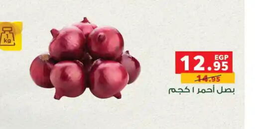 available at Panda  in Egypt - Cairo