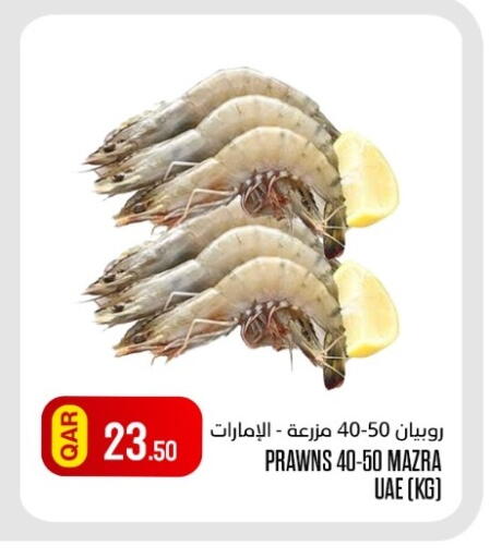 available at البلدي اليوم in قطر - الخور