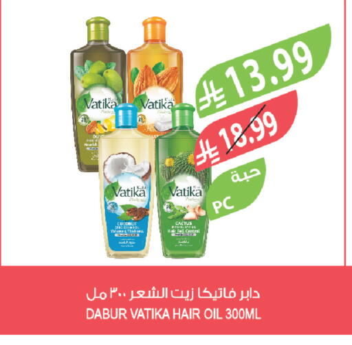 Coconut available at المزرعة in مملكة العربية السعودية, السعودية, سعودية - تبوك