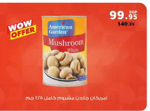 Mushroom available at Panda  in Egypt - Cairo