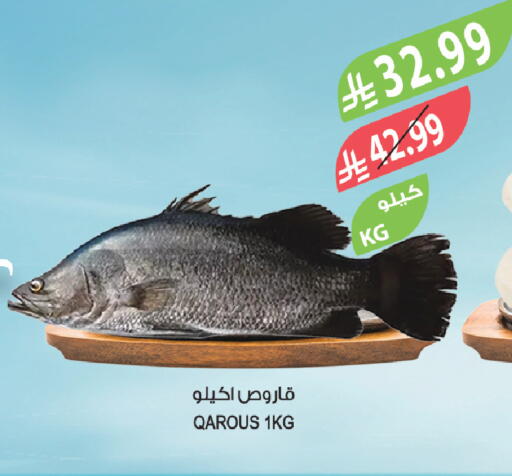 available at المزرعة in مملكة العربية السعودية, السعودية, سعودية - تبوك