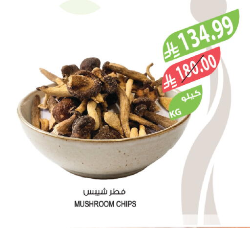Mushroom available at المزرعة in مملكة العربية السعودية, السعودية, سعودية - الخرج