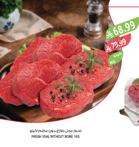 available at المزرعة in مملكة العربية السعودية, السعودية, سعودية - تبوك