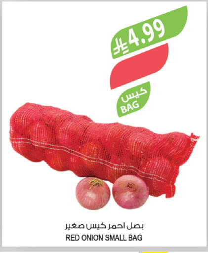 Onion available at المزرعة in مملكة العربية السعودية, السعودية, سعودية - تبوك
