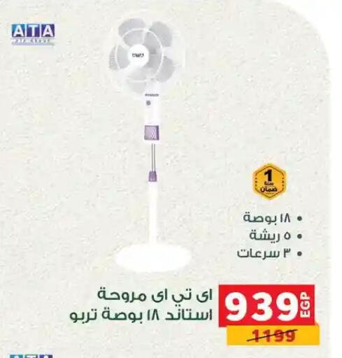 available at Panda  in Egypt - Cairo