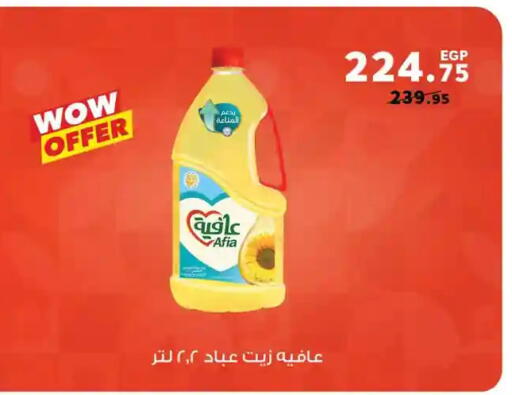 available at Panda  in Egypt - Cairo