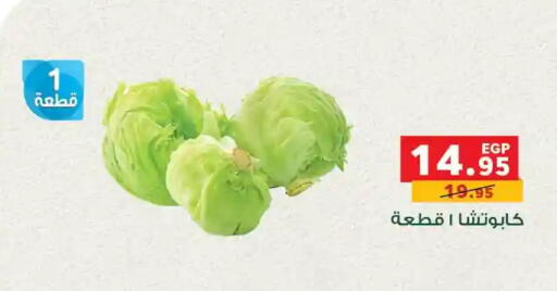 available at Panda  in Egypt - Cairo